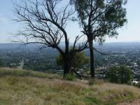 Wodonga from the hill-800